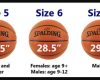 Ukuran Bola Basket