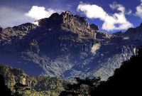 Ukuran Lapangan Bulu Tangkis Standar Nasional 