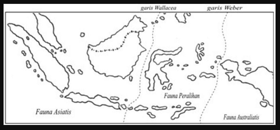 Peta Persebaran Fauna di Indonesia