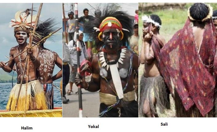Suku dan masyarakat adat papua